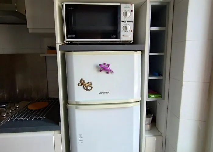 Appiolatino Il Geco * Roma